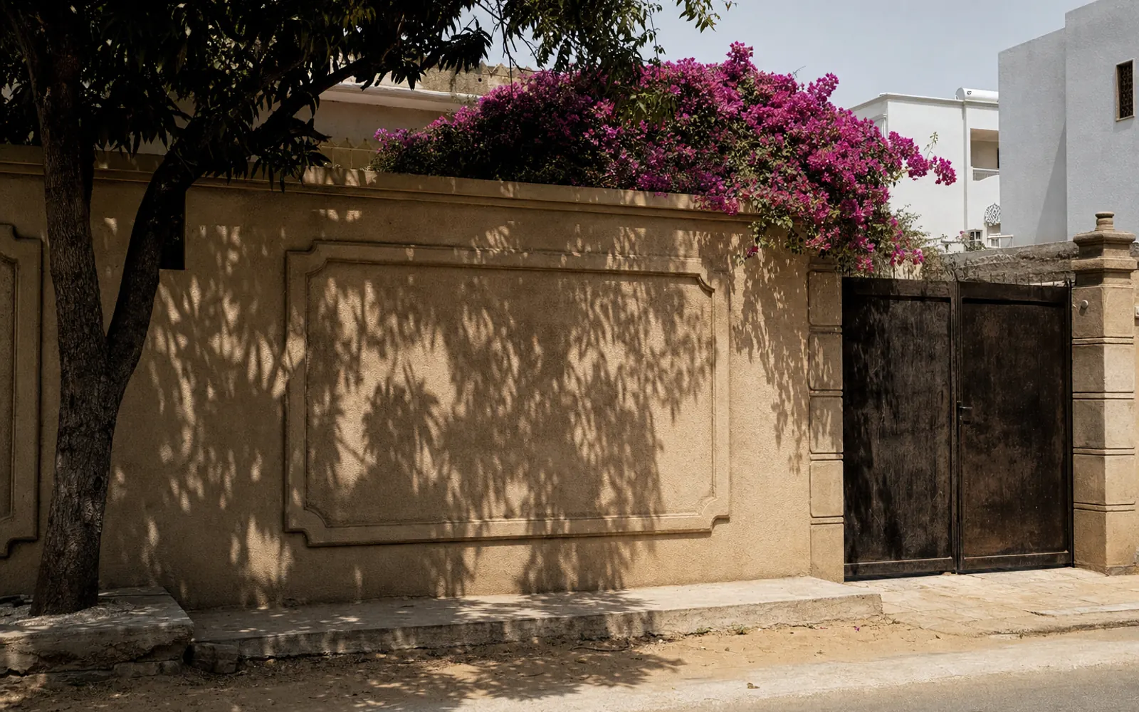 Une rue du quartier du Point E à Dakar en plein midi : un mur d'enceinte enduit, une masse de bougainvillée magenta débordant par-dessus, l'ombre nette d'un manguier projetée à plat.